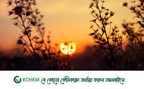 বিদায় ২০২৩: দুঃখ-বেদনা ভুলে নতুন আশায় স্বাগত ২০২৪