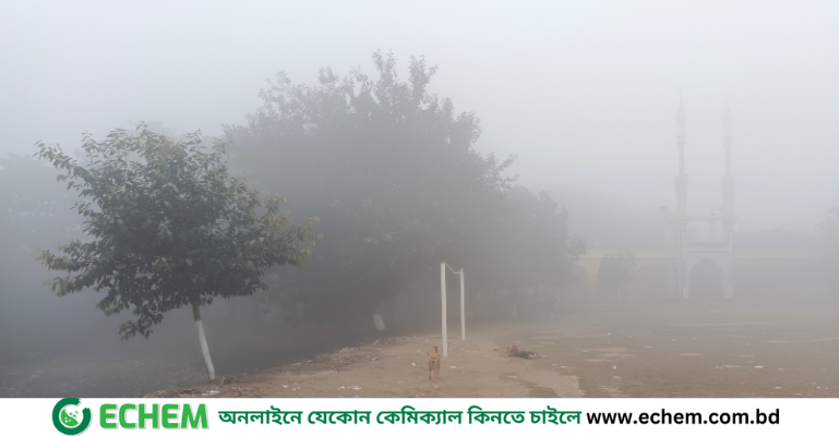 দিনাজপুরে দেখা মিলছে না সূর্যের, তীব্র শীতে জনজীবন স্থবির