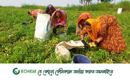 সরকার সার, বীজ, তেলের দাম কমালে আমরা উপকৃত হতাম