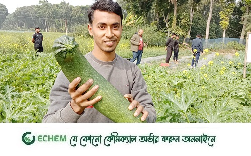 বিদেশী সবজি চাষে সফল মনজুরুল, ব্যাপক চাহিদা ও খরচ কম