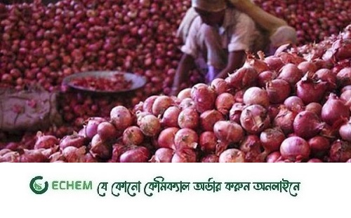 নতুন করে বাজারে পেঁয়াজের দাম শতক হাঁকিয়েছে