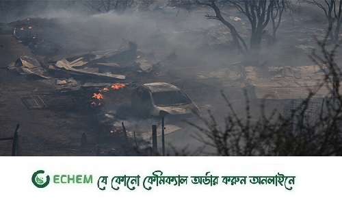 চিলিতে ভয়াবহ দাবানল, নিহত বেড়ে ৫১
