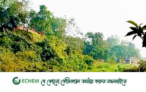 মিয়ানমারের ছোড়া মর্টারশেলে বাংলাদেশিসহ নিহত ২