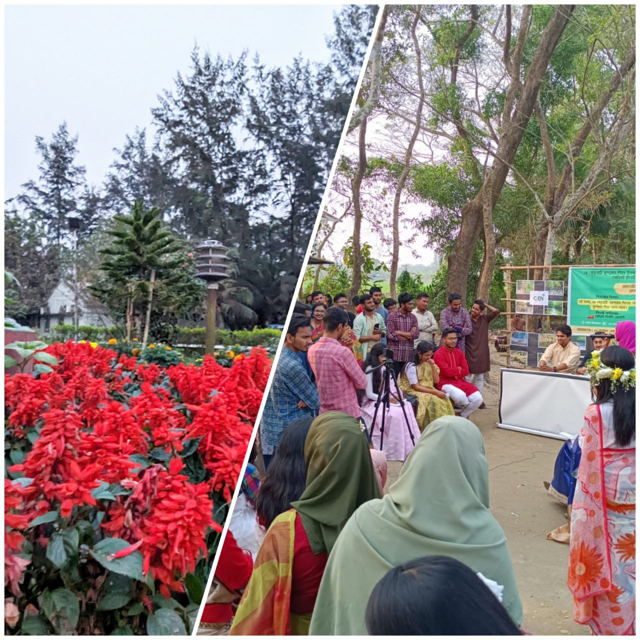 বসন্ত-ভালোবাসায় মুখরিত নোবিপ্রবি ক্যাম্পাস