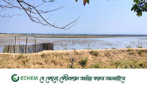 ফের গোলাগুলির শব্দ টেকনাফ সীমান্তে