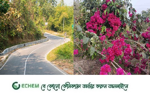 রাবিপ্রবির ৬৪ একরে বসন্তের ছোয়া