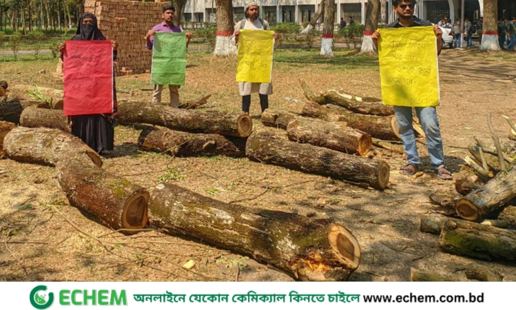 ইসলামী বিশ্ববিদ্যালয়: উন্নয়নের পেটে হাজারো গাছ