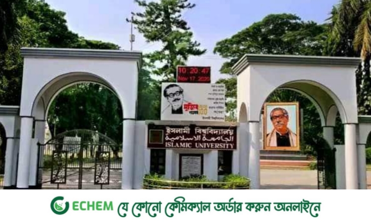 জাতীয় শিশু দিবসে ইবিতে রচনা প্রতিযোগিতা