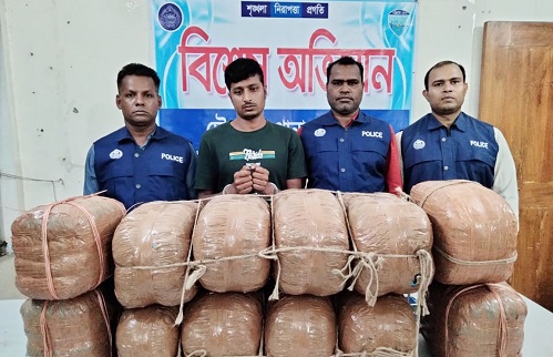 চৌদ্দগ্রামে ৫০ কেজি গাঁজাসহ মাদক ব্যবসায়ী আটক