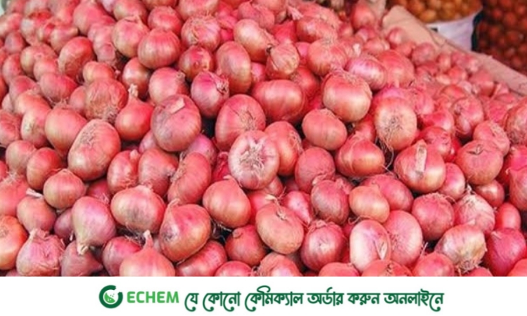 কমেছে পেঁয়াজের দাম