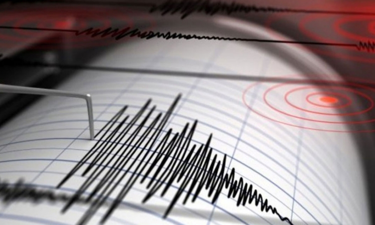 শক্তিশালী ভূমিকম্পে কাঁপল ইন্দোনেশিয়ার জাভা দ্বীপ