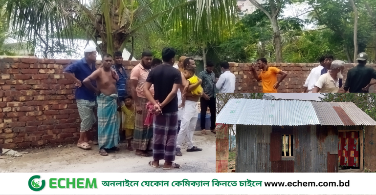 মোরেলগঞ্জে ইউপি সদস্যর জমি দখল করে নিলো সাবেক ইউপি সদস্য