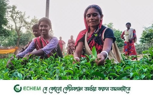 জন্ম-মৃত্যু এখানেই’, চা পাতায় বন্দী জীবন