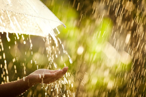 বৃষ্টির সুবাতাস, দুয়ারে সজল বর্ষা নিয়ে এসেছে আষাঢ়