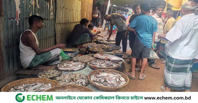 ফরিদপুরে শুক্রবারের মাছ বাজার সাধারণ মানুষের নাগালের বাহিরে