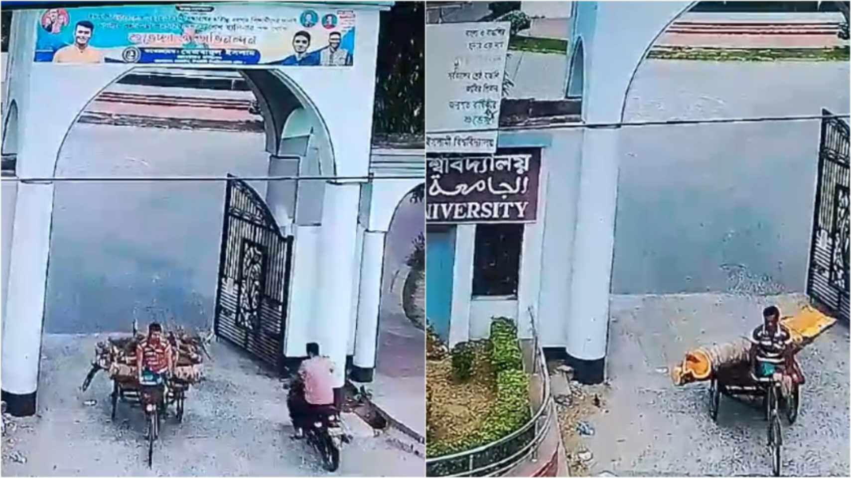 ইবিতে গাছের গুড়ি ও খড়ি পাচারের ঘটনায় তদন্ত কমিটি গঠন