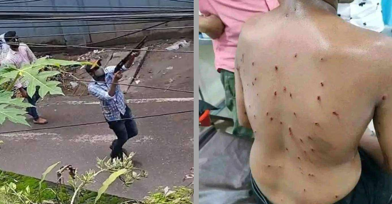 কুমিল্লায় শিক্ষার্থীদের মিছিলে ছাত্রলীগ-যুবলীগের প্রকাশ্যে গুলি