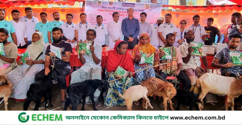 বন্যায় ক্ষতিগ্রস্ত ৫'শ কৃষকদের জন্য সমন্বিত পশুচিকিৎসা ও খাদ্য কর্মসূচি