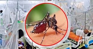 ডেঙ্গুতে আক্রান্ত ও মৃত্যু বাড়ছে, শীর্ষে চট্টগ্রাম