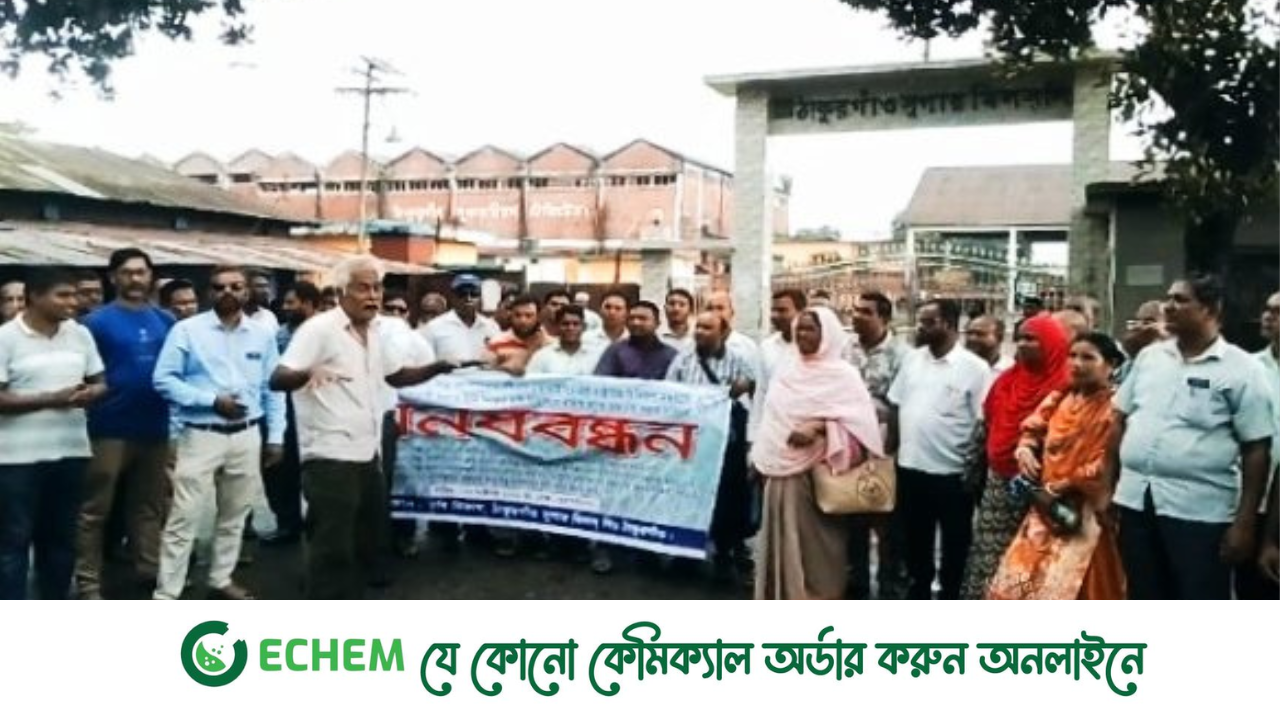 সুগারমিল কর্মকর্তা কর্মচারিদের মানববন্ধন