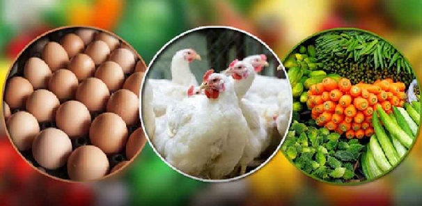 প্রতিসপ্তাহেই রেকর্ড ছাড়িয়ে যাচ্ছে ডিমের দাম