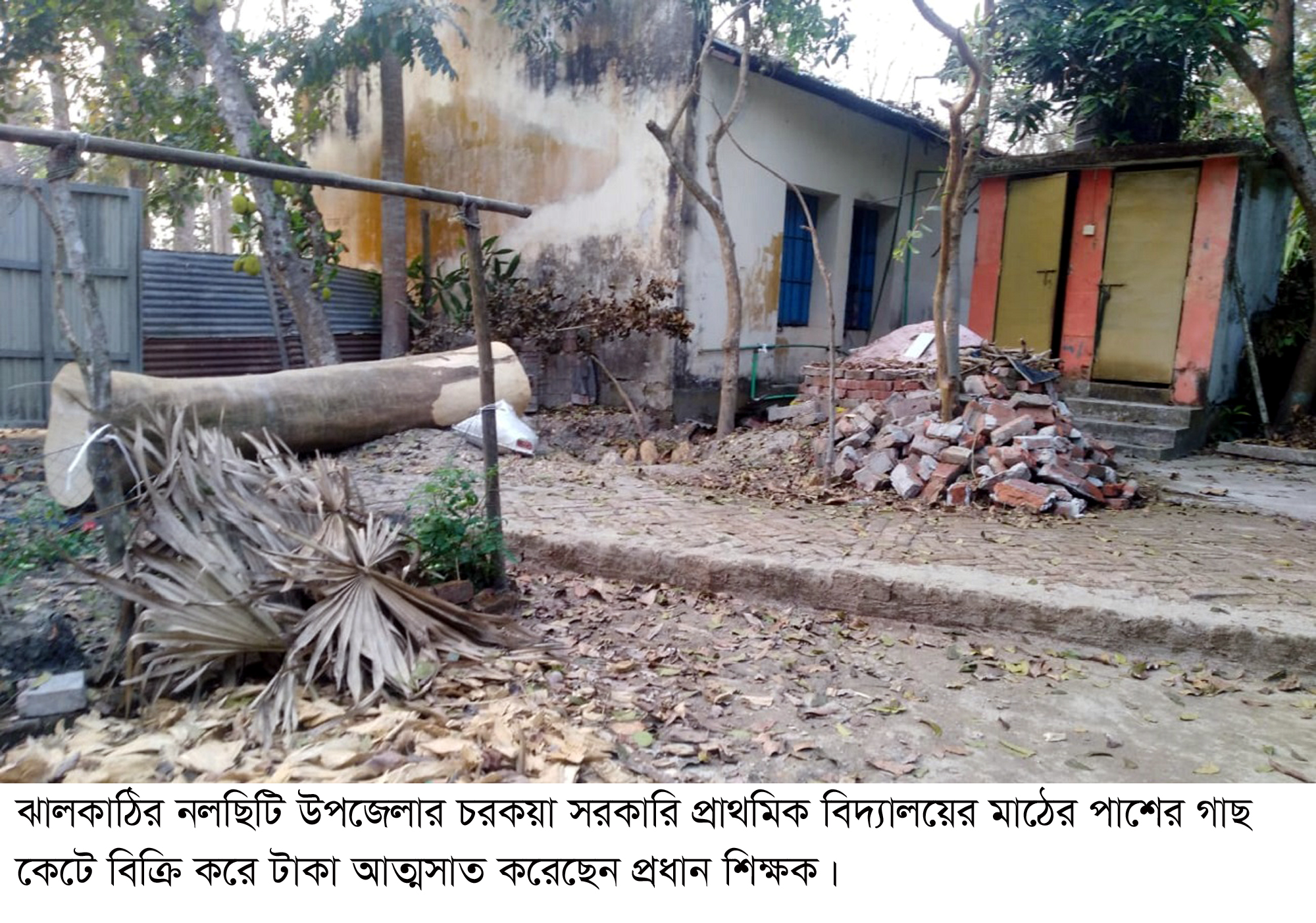 নলছিটিতে প্রধান শিক্ষকের বিরুদ্ধে দুর্নীতির অভিযোগ