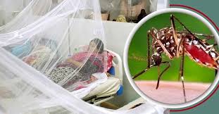 ডেঙ্গুতে মৃত্যু ২০০ ছুঁইছুঁই