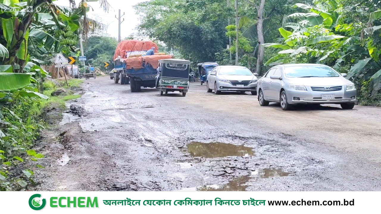 ফরিদপুরের  ৩২ কিলোমিটার মহাসড়ক ভাঙ্গাচোরা জনগনের ভোগান্তি