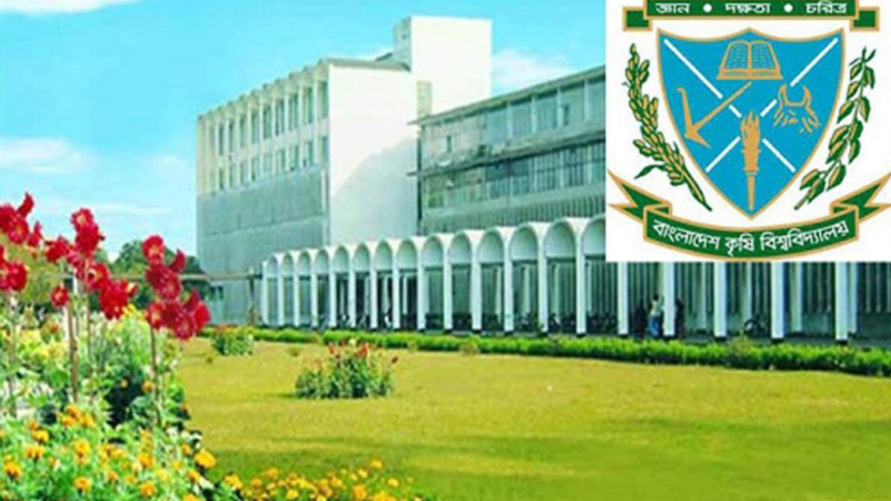 মালয়েশিয়ান শিক্ষার্থীকে যৌন নিপীড়নের ঘটনায় সাময়িক বরখাস্ত