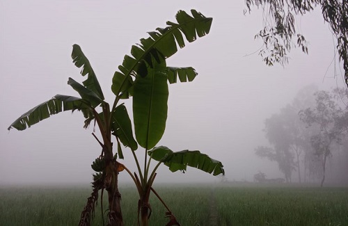 হিমেল বাতাস আর রাতে শীত, ভোরে কুয়াশাচ্ছন্ন জনপদ