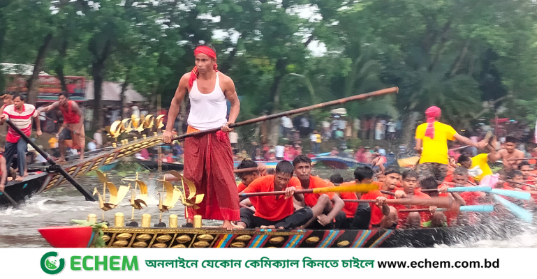 বাঘিয়ার বিলে তিন দিন ব্যাপী নৌকা বাইচ শুরু