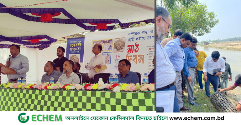 কাঁকড়া চাষীদের নিয়ে দিনব্যাপী মাঠ দিবস অনুষ্ঠিত