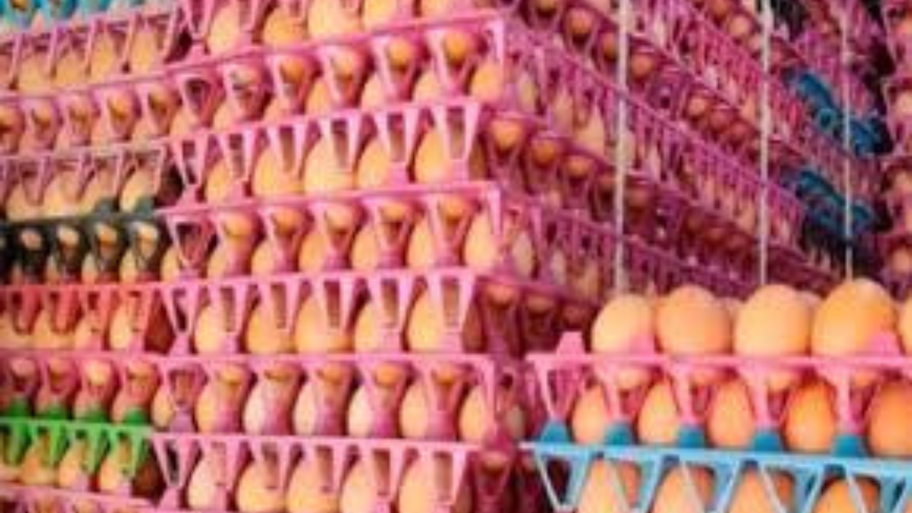 শুল্কায়ন জটিলতায় বেনাপোলে আটকে আছে দুই লাখ ডিম