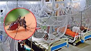 ডেঙ্গুতে আরও ১০ জনের মৃত্যু