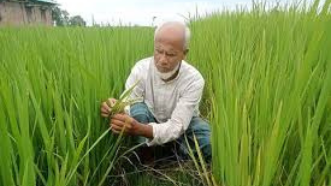 স্বশিক্ষিত কৃষিবিজ্ঞানী নূর মোহাম্মদ