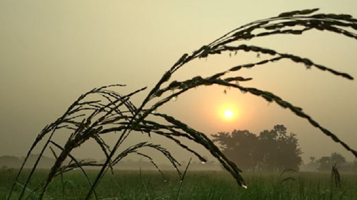 শীত আসছে, তবে ধীরগতিতে