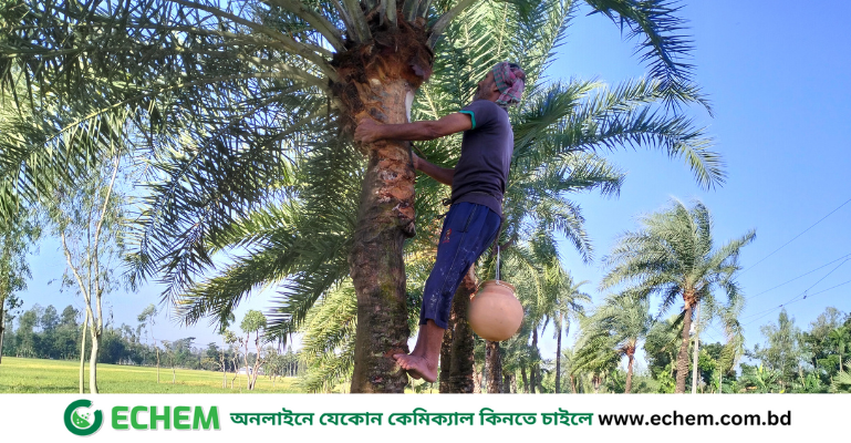 কালের পরিক্রমায় হারিয়ে যা‌চ্ছে গ্রামবাংলার খেজুর রসের ঐতিহ্য