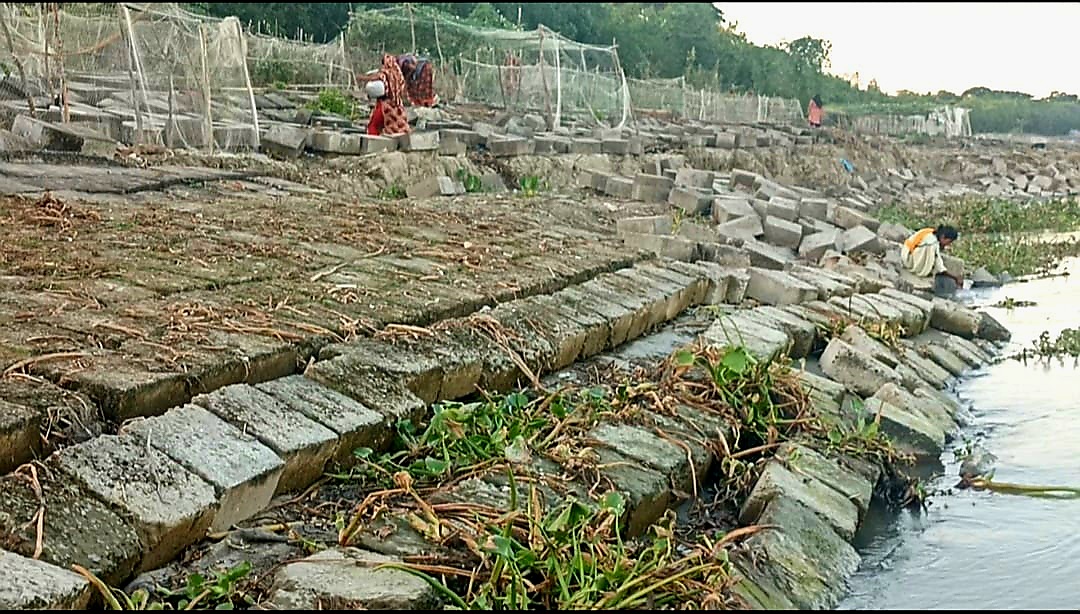 ভয়াল সিডরের ১৭বছর: টেকসই বেড়িবাঁধের দুঃখ গেলনা মোরেলগঞ্জ-শরণখোলা বাসীর