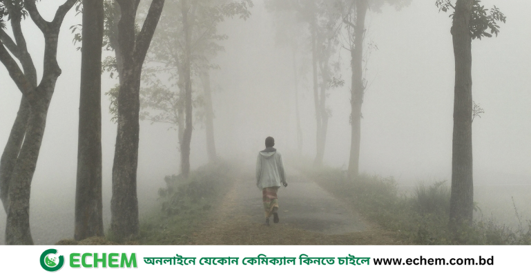 উত্তরে জেঁকে বসেছে শীত, সর্বনিম্ন তাপমাত্রা ১৩.৬