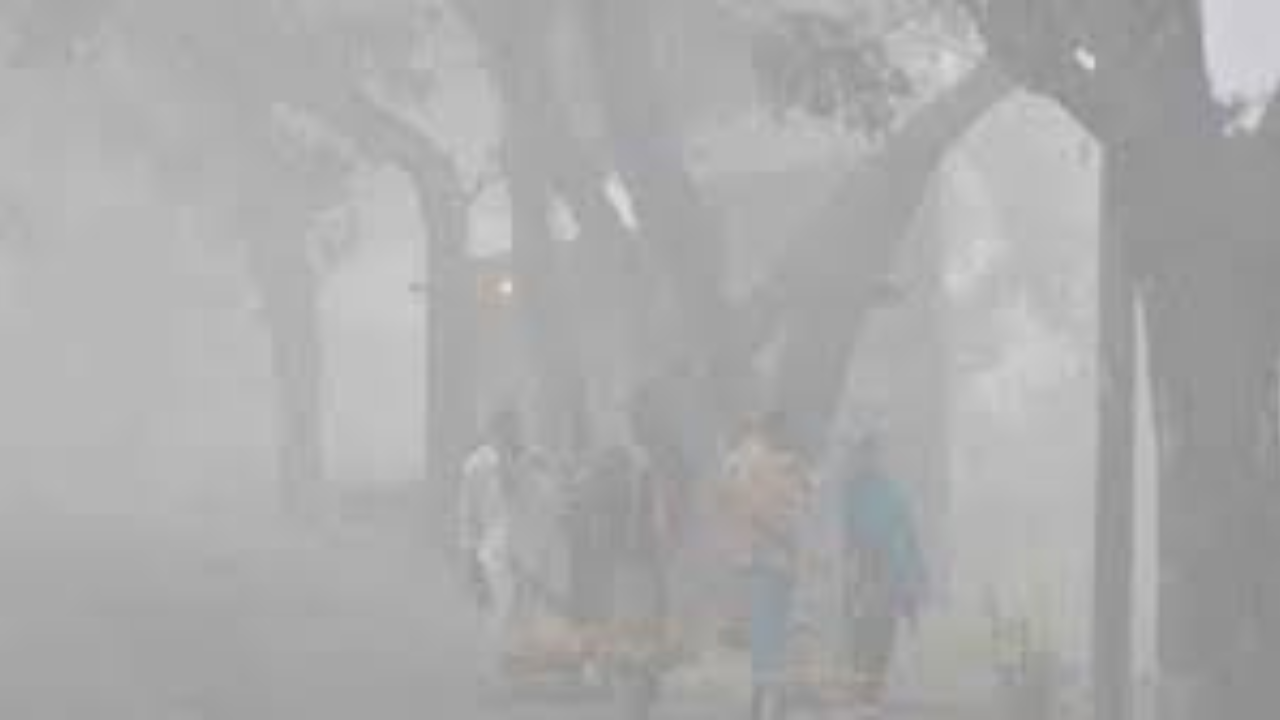 শৈত্যপ্রবাহ নিয়ে যা বলছে আবহাওয়া অধিদফতর
