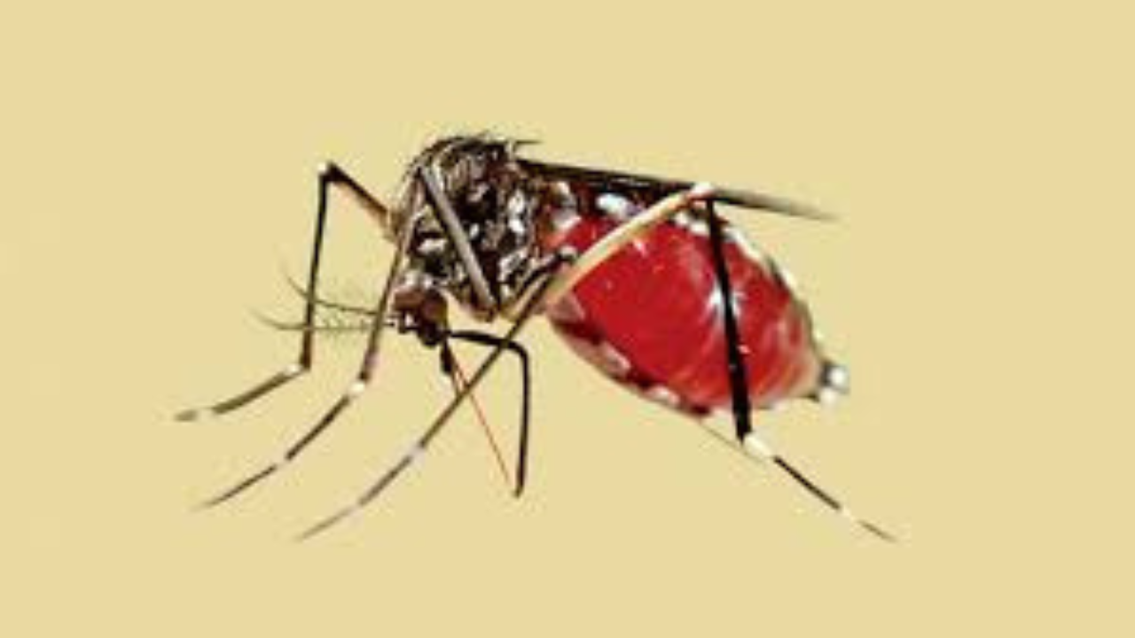 ডেঙ্গুতে এক শিশুসহ ৪ জনের মৃত্যু