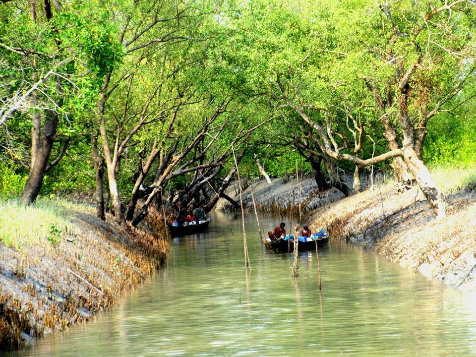 দুই মাস সুন্দরবেনর সাতক্ষীরা রেঞ্জের নদ-নদীতে কাঁকড়া ধরায় নিষেধাজ্ঞা