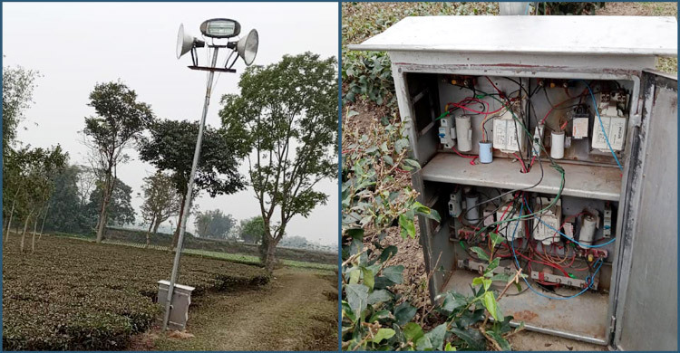 শূন্যরেখায় বৈদ্যুতিক খুঁটি, বিজিবির বাধায় সরালো বিএসএফ