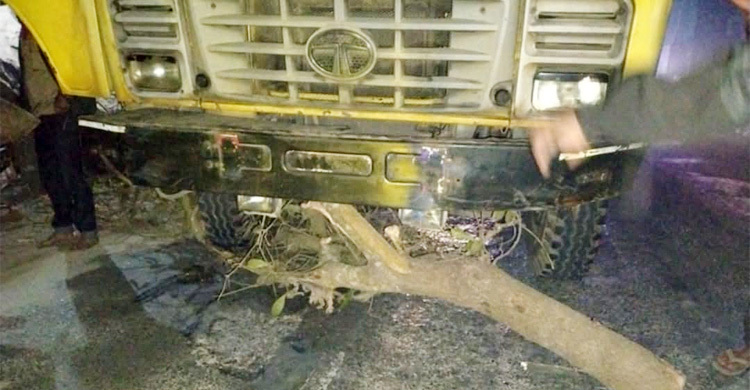 মধ্যরাতে সড়কে গাছ ফেলে গণডাকাতি