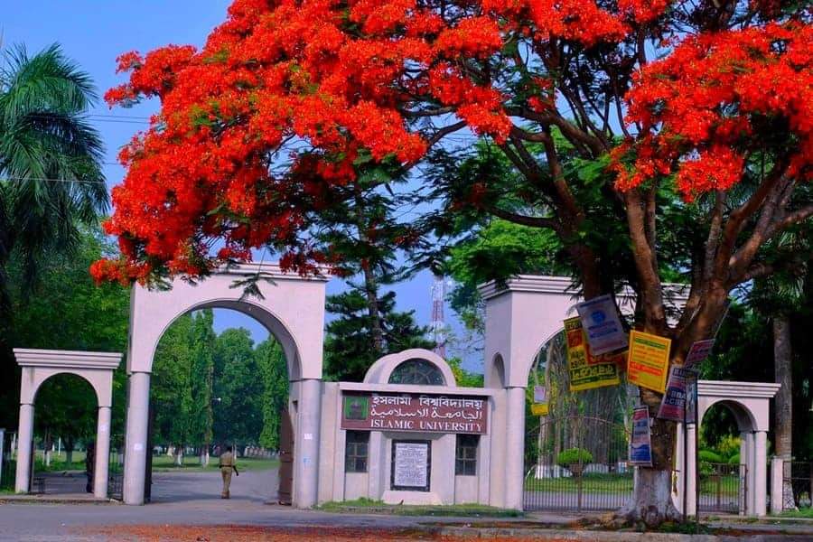 গাজায় গণহত্যা: বিশ্বব্যাপী ধর্মঘটে ইবি শিক্ষার্থীদের সংহতি