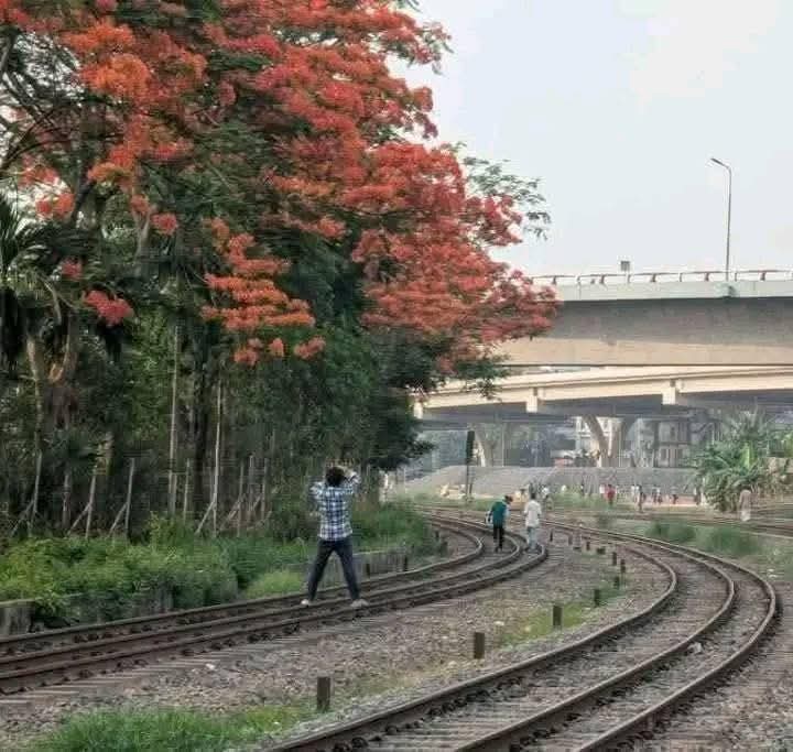 ভিডিও করতে গিয়ে ট্রেনে কাটা পড়ে প্রাণ গেল শিক্ষার্থীর