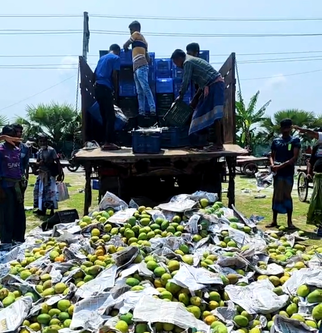 সাতক্ষীরায় ট্রাকভর্তি ৪শ' ক্যারেট অপরিপক্ক গোবিন্দভোগ আম জব্দ