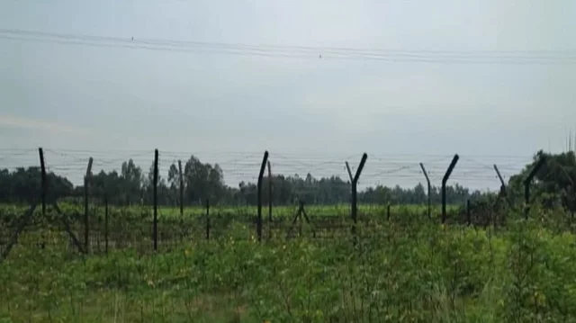 ঠাকুরগাঁও সীমান্তে বিএসএফের হাতে ৩ বাংলাদেশি আটক