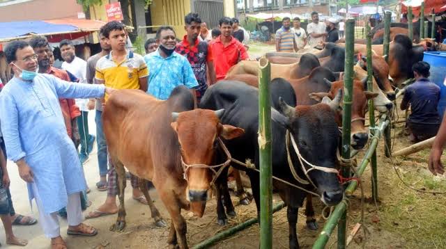 হাটে ছোট গরুর সংকট, বড় গরু নিয়ে বিপাকে খামারিরা