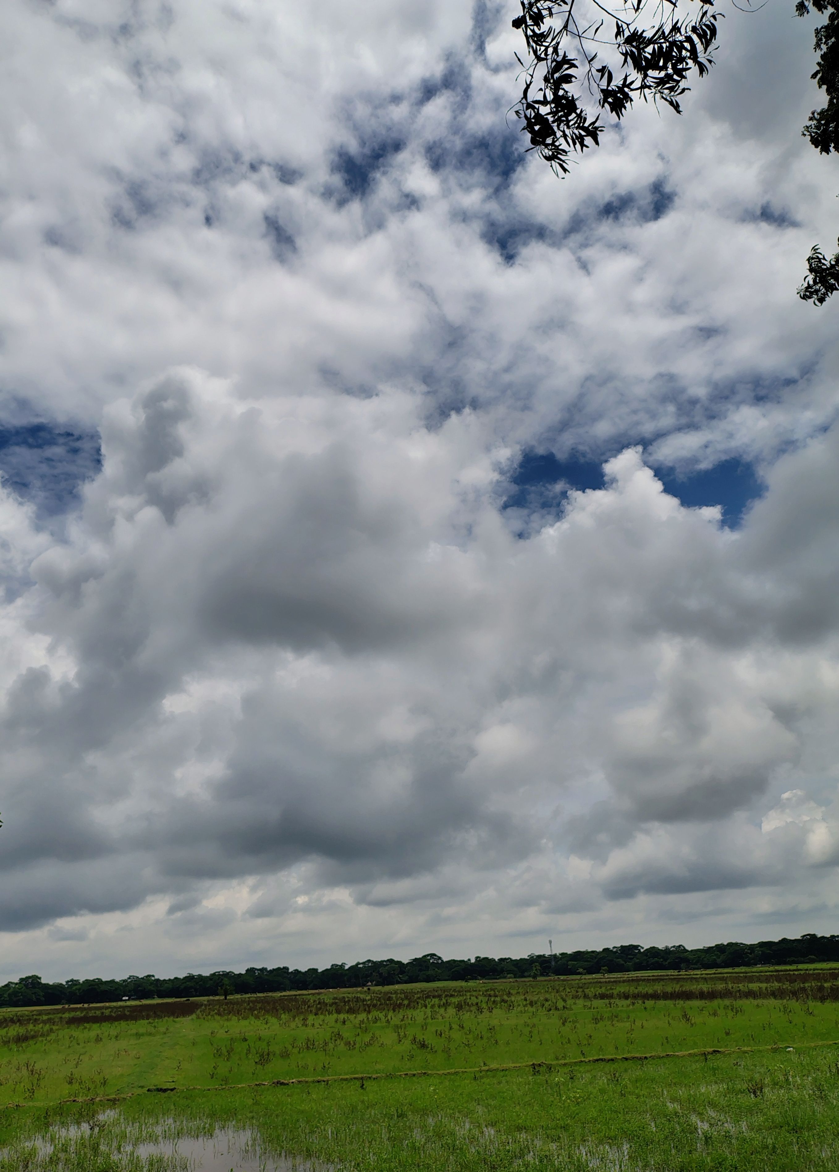 চট্টগ্রামে ভারী বৃষ্টির আভাস, সারাদেশে কমতে পারে গরম